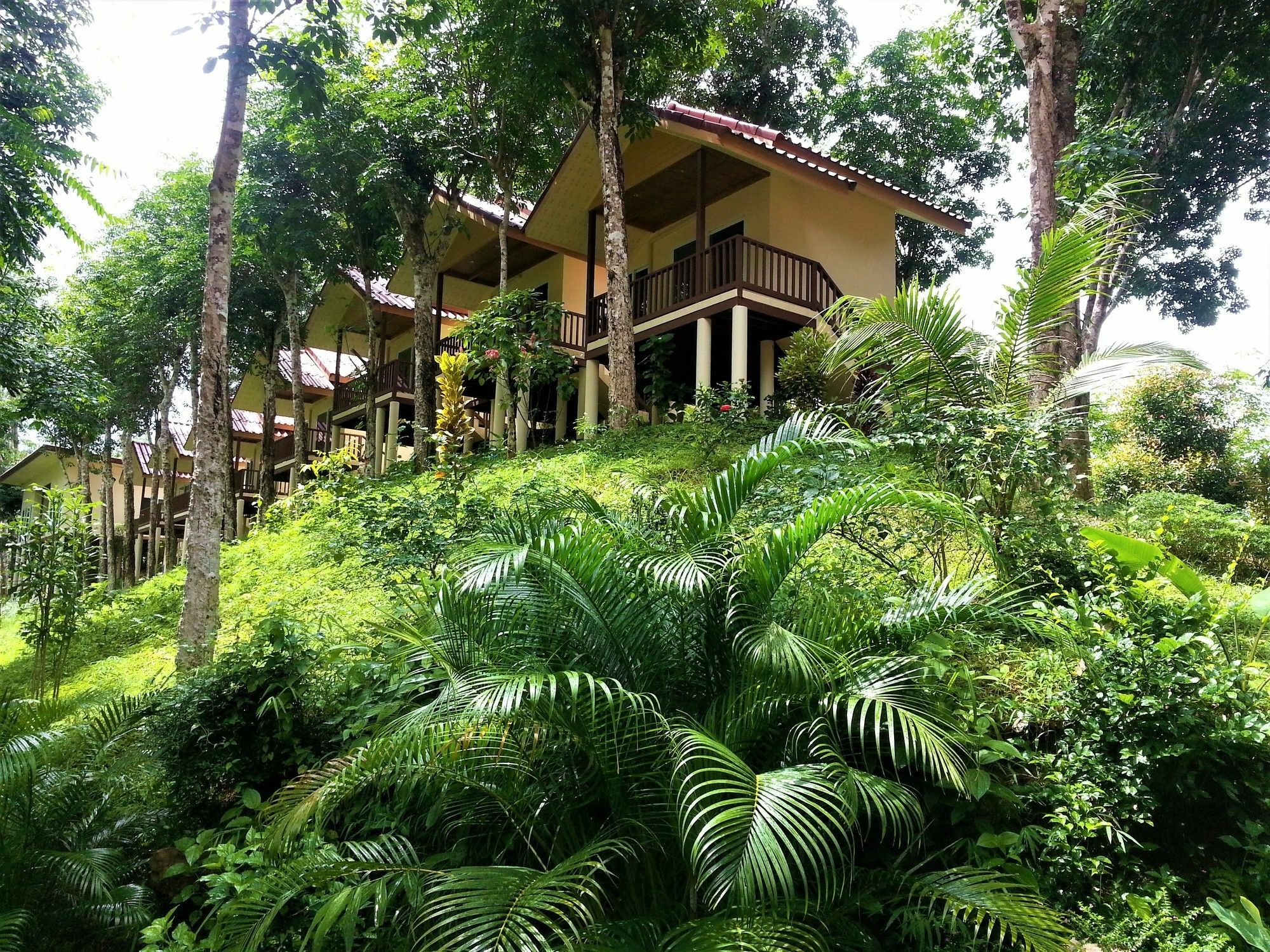 Khao Sok River Home Resort Khao Sok National Park Zewnętrze zdjęcie